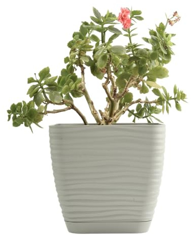 B2C Plant Pot Flowerpot Square Plastic Modern Decorative Wave Grooves Textured Elegant & Modern With Saucer (Light grey, 19cm)