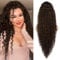 Fdeety Lange Lockige Perücke Für Damen Synthetische Hitzebeständige Fasern Schwarze Naturfarbe Voluminöse Lockige Perücke Haarverlängerung Für Frauen 26 Zoll(Brown)
