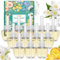 SCENTORINI Duftölflakon, Raumduft Lufterfrischer, 12 x 19 ML, Raum Duftöl, Misch Duft, Duftflakons Nachfüller Geeignet für Air Wick und Glade Duftstecker