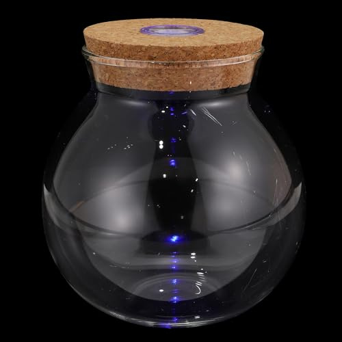 JOINPAYA LED Glas Flasche mit Licht für Selbstgemacht Mikrolandschaft Terrarium Glatte Oberfläche Ökologisches Pflanzglas zur Raumdekoration