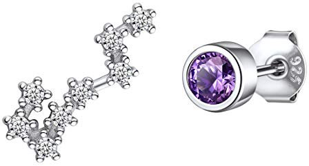 ChicSilver 925er Sternbild-Ohrringe Scorpion Ohrstecker mit Amethyst Stein 925 Sternzeichen Ohrringe mit Schmuckbox und Beutel
