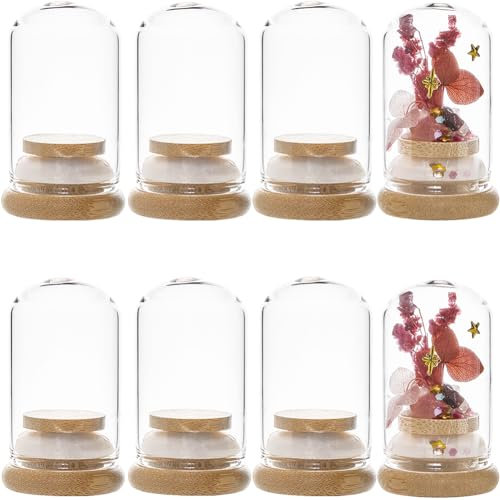 SUNNYCLUE 10 pcs Dôme D'Affichage en Verre 30x50 mm Mini Cloche Dôme 22 ML Bocaux en Verre Bouteilles avec Base Bambou Bocaux Cloche Pot de pour Le Stockage de Liquide F