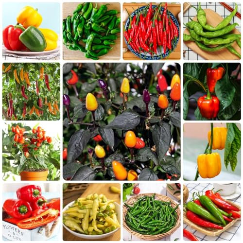 100 Pezzi Di Mix Di Semi Di Peperoncino - Capsicum Annuum - Semi Di Copertura Del Terreno, Semi Resistenti, Semi Rialzati, Semi Di Jalapeno, Semi Di Pepe Biologico, Semi Di Ortaggi Antichi,
