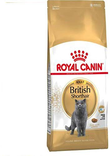 Royal Canin Feline British Shorthair, 1er Pack (1 x 2 kg Beutel) - Katzenfutter