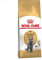Royal Canin Feline British Shorthair, 1er Pack (1 x 2 kg Beutel) - Katzenfutter