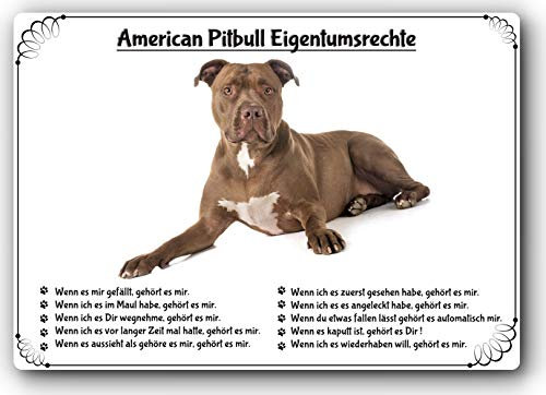 Merchandise for Fans Blechschild/Warnschild/Türschild - Aluminium - 15x20cm Eigentumsrechte Motiv: Pitbull Terrier (01)