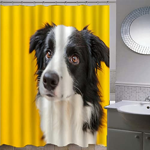 Shower Curtain 180x180 cm Shower Curtain Bird Collie animal, yellow 3D Shower Curtains for Bathroom with 12 Hooks Washable Quick-Drying Curtains for Bathroom Kitchen