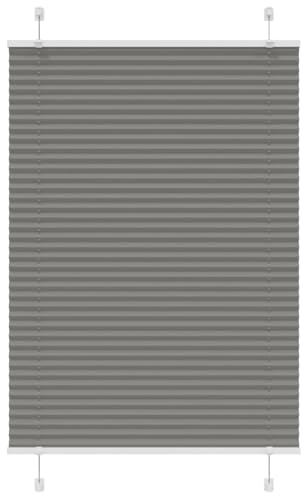 vidaXL Plissee Anthrazit 90x150 cm Stoffbreite 89,4 cm Polyester, Faltrollo, Klemmfix, Plisseerollo, Jalousie, Rollo, Plisseerollo für Fenster