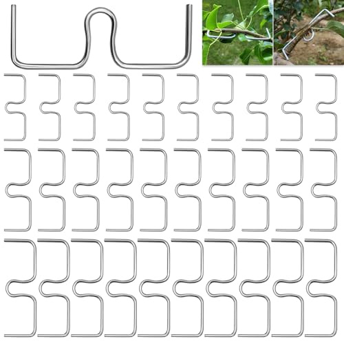LXYYDS 30 Stück Astspreizer für Obstbäume, (8/10/13CM) M Formiger Astspreizer, Zweigspreize für Gartenbäume, Astklammern Metall Zweigspreize, Astbiegewerkzeug zum Formen von Obstbaumzweigen