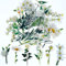ExceLife Retro Floral Stickers Set, Self-Adhesive PET Transparent Waterproof Flower Stickers for Scrapbooking, Journal, Album, Phone Case, Laptop, Card Making, 40Pcs (White)