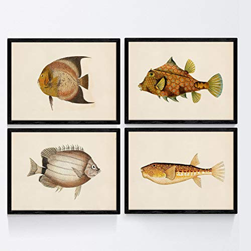 Nacnic Bunte Fische Plakate 4-er Set. Vintage Stil Braun und Gelb Fische Posters mit Altpapier Hintergrund. Größe A4, ohne Rahmen.