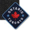 Klettpatch - Ontario Toronto Kanada 60 x 60 mm hochwertig gestickt/Klett Patch Patches Abzeichen Applikation auf Kleidung Rucksack/Ahorn Flagge Reiseführer/Club of Heroes (Navy)