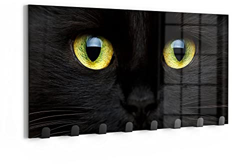 DEQORI Wandgarderobe Glas & Metall | Motiv Gesicht eines Kätzchens | 60x30 cm | Design Haken-Leiste modern | Garderoben-Paneel für Flur, Wohnzimmer & Schlafzimmer | magnetisch & beschreibbar