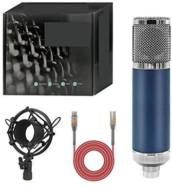 Msuiiixcccc F22 Condenser Professional Microphone Large Diaphragm Microphone for Computer/Laptop Gaming Recording Singing Podcast Living (Color : 34mm Capsule)