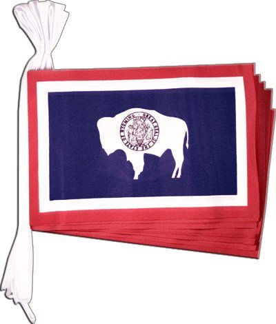 Digni Guirlande Drapeau USA US Wyoming - 5,9 m