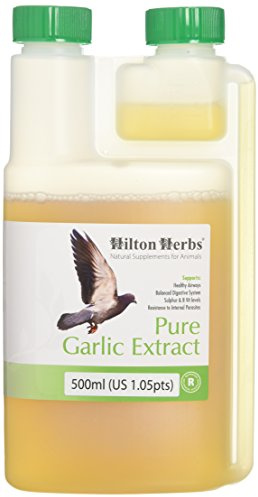 Hilton Herbs Garlic Juice 500 ml