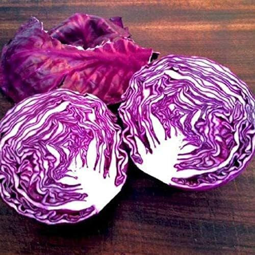Semillas de lechuga morada 40 piezas