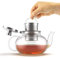 Verre Collection Glass Teapot Stovetop Compatible Kettle with Stainless Steel Re