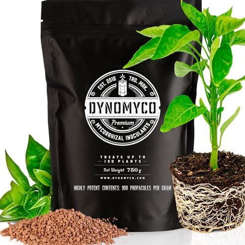 Mykorrhiza-Impfmittel von DYNOMYCO - Hochleistungsstämme - Konzentrierte Formel - Verbessert die Nährstoffaufnahme - Steigert den Pflanzenertrag (26.05 Oz/Up to 150 Plants)