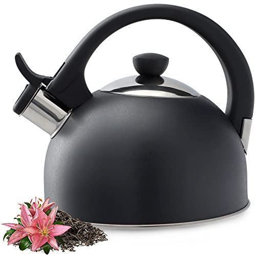 KADAX Bollitore in acciaio inox, bollitore da 1,7 l, disponibile in diversi colori, bollitore per tutti i piani cottura, bollitore in acciaio inox, bollitore retrò a flauto (antracite)