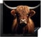 KitchenYeah© Herdabdeckplatte 60x52 cm Einteilig Induktionsmatte Küche Abdeckung Ceranfeld Herd Abdeckplatte Deko Vinyl Matte Aufrollbar Schottisches Hochlandrind - Schwarz - Kuh - Tiere
