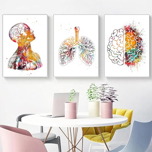 KXHHYB Anatomie Poster 3er-Set,Herz Gehirn Menschliche Anatomie Poster Krankenhaus Klinik Wandkunst Poster Medizin Wand Bilder-ohne Rahmen（C,40x60cm*3