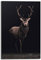 REINDERS Hirsch - Wandbild 60 x 90 cm