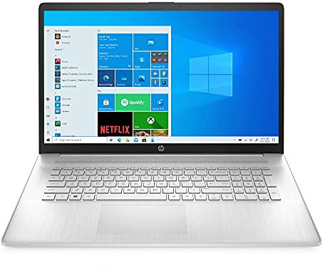 HP 17-cp0253ng (17,3 pollici/HD+) Laptop (AMD Ryzen 5-5500U, RAM DDR4 da 8 GB (2 x 4), SSD da 512 GB, scheda grafica AMD, Windows 10, layout QWERTZ), argento