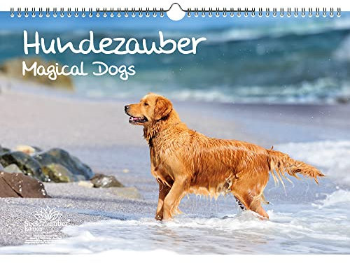 Hundezauber Große Hunde DIN A3 Immerwährender Kalender Welpen und Hunde - Seelenzauber