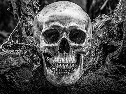 Vlies Tapete XXL Poster Fototapete Totenkopf Wurzel Erde Farbe schwarz weiß, Größe 300 x 220 cm