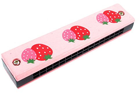 Ruilogod Deux myrtilles imprimées bois double rangées 32 trous harmonica orgue orgue rose