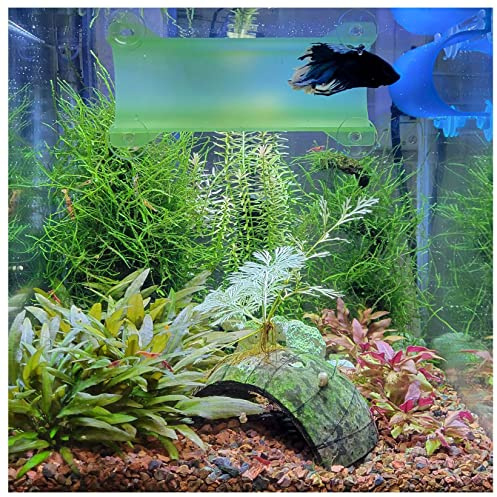 SeeShelter Brand Betta Tunnel (lichtgrün)
