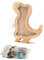 TOTHDATE Holz Spardose Kinder - Dinosaurier Spardose, Tiere Spardose mit Alphabet Aufkleber Hölzerne Münze Bank Kids Junge Home Decor