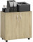 Vinsetto Filing Cabinet with Locking Doors & Shelves, 2-Tier Lockable Storage Cabinet with 2 Keys for Home Office, 80W x 40D x 80H cm, Oak