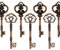 Makhry Mixed 20 Extra Large Antique Gold Finish Skeleton Key Rustic for Wedding Party Favor Decoration (Antique Copper)
