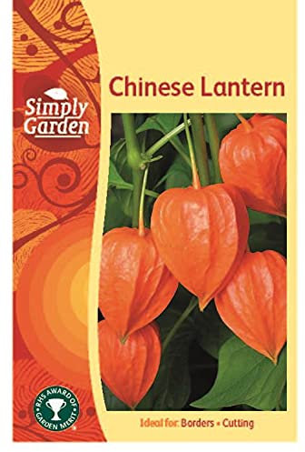 Simply Garden Chinese Lantern Seeds Grow Your Own Colourful Perennial Plants