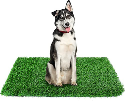 GLOBREEN 34 x 23 Fake Grass Pee Pad for Dogs Artificial Grass Puppy Potty Training Turf Pets Mat - Indoor Outdoor Use