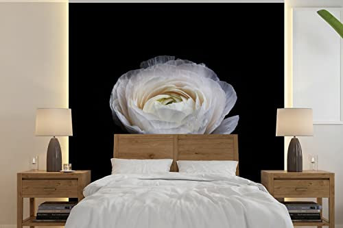 MuchoWow Papier peint Fleur - Noir - Blanc Papier peint photo 260x260 cm Papier peint imprimé