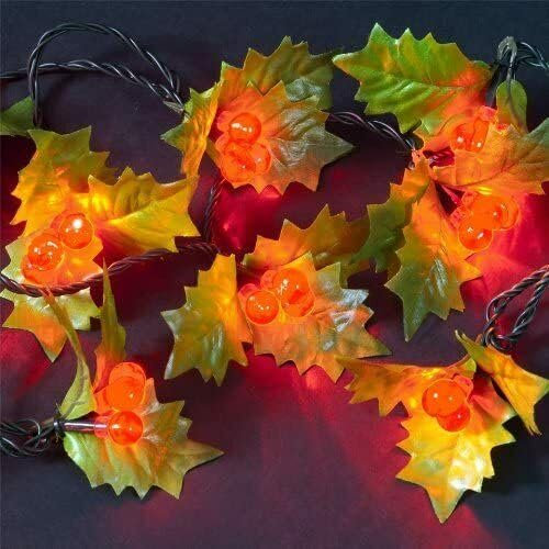 Garden Store Direct 3.6m/12ft Red Holly Berry Indoor & Outdoor 50 Static LED Christmas Holiday Festive Decoration Lights