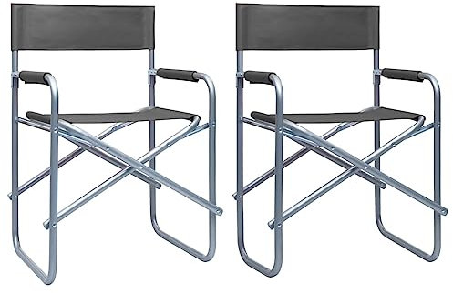 vidaXL 2X Regiestuhl Klappbar Campingstuhl Gartenstuhl Klappstuhl Faltstuhl Anglerstuhl Stuhl Stühle Gartenmöbel Angelstuhl Stahl Grau