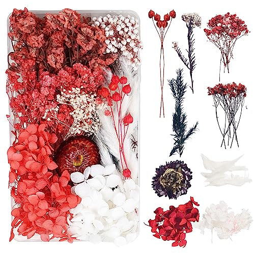Trockenblumen zum Basteln Trockenblumen Deko Trockenblumen Klein Getrocknete Blumen Deko Trockenblumen Basteln Trockenblumen Set für DIY Basteln Handwerk Epoxidharz Scrapbooking Dekoration(Rot)C-047F