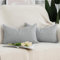 Madizz 2er Set Faux Leinen Kissenbezügen Weich Dekorative Kissenabdeckung für Sofa Schlafzimmer Kissenhülle Hellgrau 30x50 cm Rechteckig