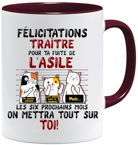 JungleMug Mug collègue | FÉLICITATIONS TRAÎTRE Départ en Retraite | Idée Cadeau Humour Travail | Tasse Départ Homme ou Femme Bureau | Cadeau Original Collègue (Bordeaux)