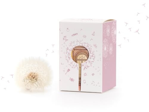Wunscherfüller Geldgeschenk (Rosa) von Die Stadtgärtner | Pusteblume-Schirmchen im Glas mit Geldschein-Sichtfenster | Kreative Verpackung zum Geld verschenken | Zum Geburtstag, Hochzeit, Taufe