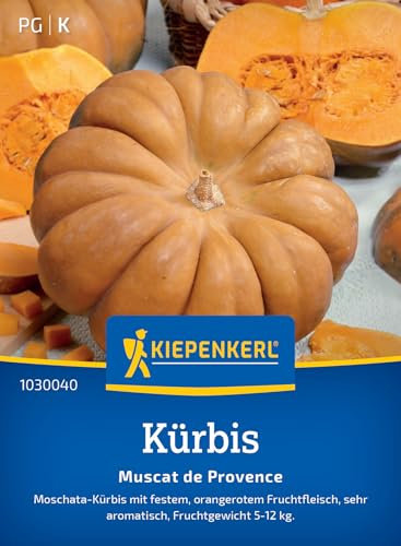 Kiepenkerl Kürbissamen Muscat de Provence 1030040 - Moschata Kürbis - festes orangenes Fruchtfleisch - sehr aromatisch - Samen Gemüse, Saatgut, Gemüsepflanzen