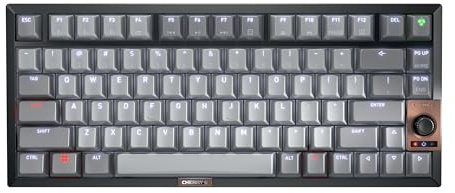 Cherry KW 300 MX Black Mechanical Keyboard | Compact hot-swappable | Sound-Proofed housing | Multi Connection | MX2A Brown Switches
