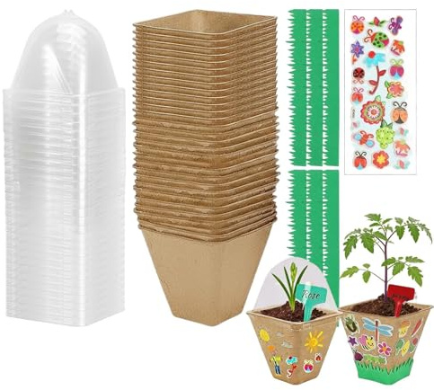 Kit de plantación de plantas para niños - Juego de jardinería educativa - Invernadero infantil para el cultivo de plantas - Interior del hogar y balcón de la ciencia de la naturaleza de experimentos