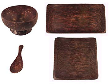 Kokosnuss Schale Teller Löffel Set