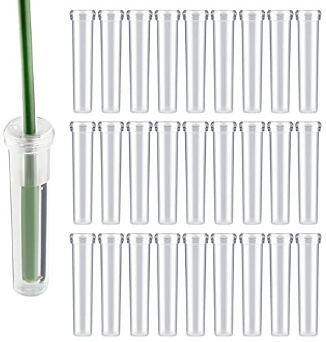 AIEX 48 Stück Wiederverwendbare Blumenröhren aus Kunststoff mit Silikonstopfen für Blütenpflanzen, 7,2 x 1,8 cm (transparent)