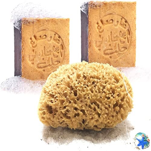 tom&pat All-in-One Set: Naturschwamm & Aleppo Seife für optimale Haut- und Haarpflege, Mittelmeerqualität, Dermatest: Sehr gut – Badeschwamm (15-16 cm) / Aleppo-Seife (2 x 200 g)